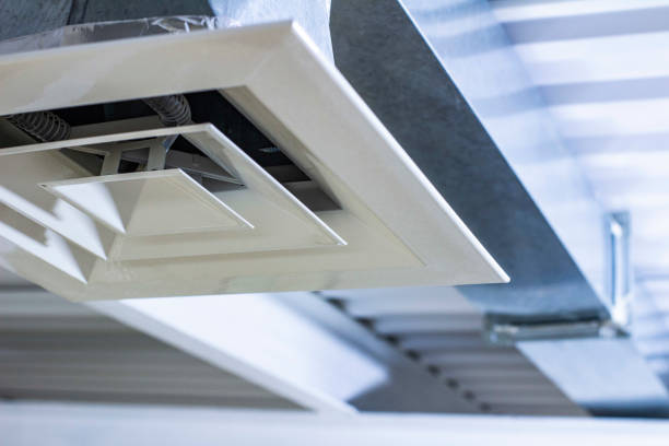 Best Air Duct Cleaning Near Me  in Grand Meadow, MN