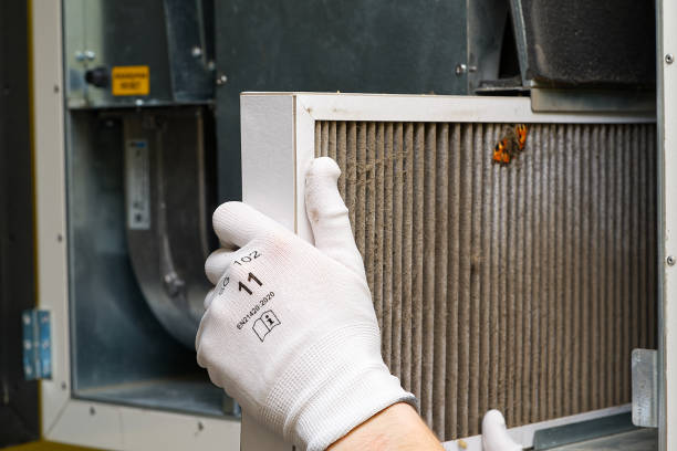 Best Affordable Duct Cleaning Services  in Grand Meadow, MN